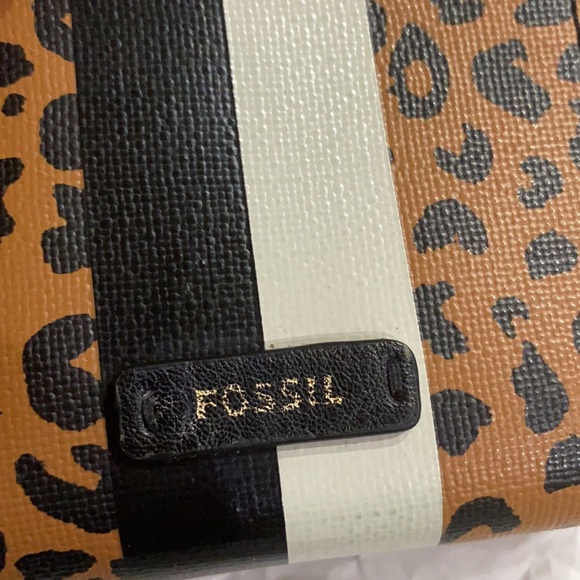 Fossil animal print - Picture 6 of 6